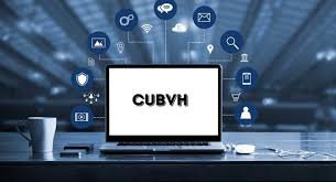 Making Sense of CUBVH: Your Complete Guide