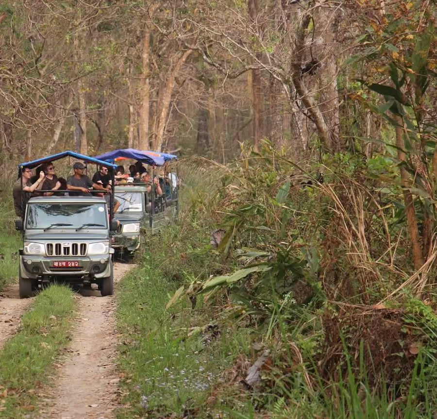 Chitwan Tour: A 2025 Guide to Nepal’s 